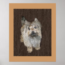 Cairn Terrier Prints and Posters