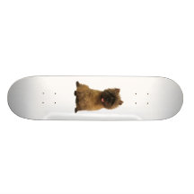 Cairn Terrier Skateboard