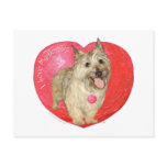 Cairn Terrier Valentine's Day Post Cards