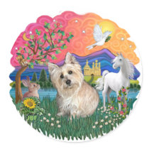 Cairn Terrier (wheaten 3)