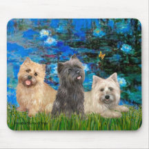 Cairn Terriers 4-13-21 - Lilies 3 Mouse Pads