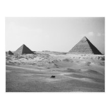 Cairo Egypt, Giza Pyramids Post Card