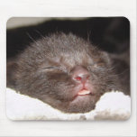 Cairo Sleeping Mousepad