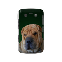 Caisse de Blackberry de chien de Shar-Pei Coque Case-Mate Blackberry
