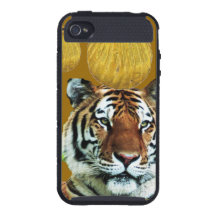 CAISSE D'OR DE TIGRE