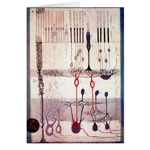 Cajal Greetings Greeting Cards