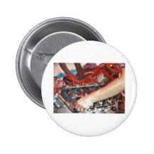 Cajun Nationals Buttons