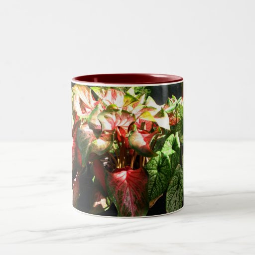 CALADIUM COFFEE MUG