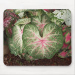 Caladium Galaxy Mouse Mats