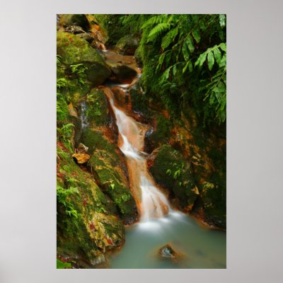 Caldeira Velha, Azores Poster by gavila_pt