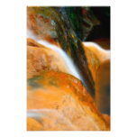 Caldeira Velha Park Art Photo