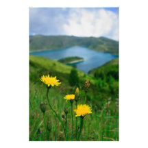 Caldera lake in Azores islands Photo