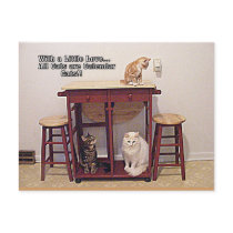 Calendar Cats Postcard