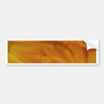 Calendula Bumper Sticker
