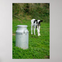 Calf and milk urn posters