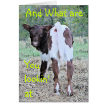 Calf BirthdayCard-customize