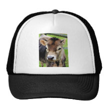 Calf Closeup Hats