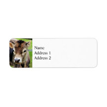Calf Closeup Labels