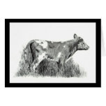 CALF IN PENCIL GREETING CARD