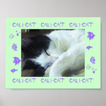 Cali-Cat Poster