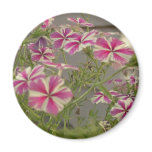 Cali Flowers Refrigerator Magnets