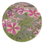 Cali Flowers Stickers