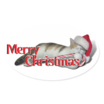 Cali, the Candy Cane Kitty Oval Sticker