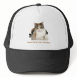 Calico Cat: Annoy Me At Your Own Risk