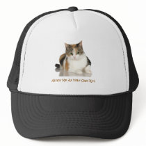 Calico Cat: Annoy Me At Your Own Risk