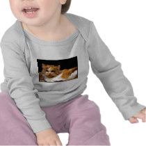 Calico Cat baby shirt
