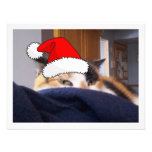 Calico Cat Custom Invite