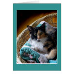 Calico cat in a basket greeting or note card