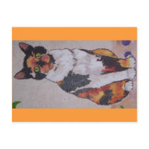 calico cat post cards