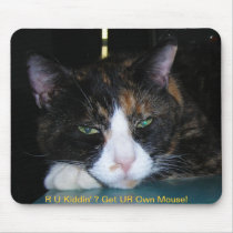 Calico Cat, R U Kiddin' ? Mousepad