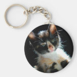 Calico Kitten Keychain