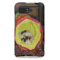 Calico Kitten Napping casemate cases
