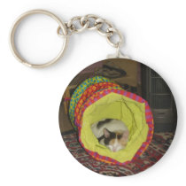 Calico Kitten Napping keychains