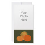 Calico Pumpkin Trio Photo Card