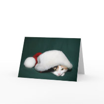 Calico Santa Greeting Cards
