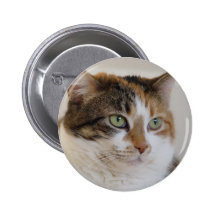 Calico tabby cat face button