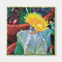 Caliente Cactus Magnet