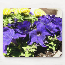 California Bluebell Mouse Pads