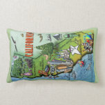 California Cartoon Map Pillow