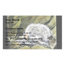 California condor chick business card