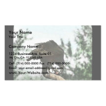 California condor eating business card template