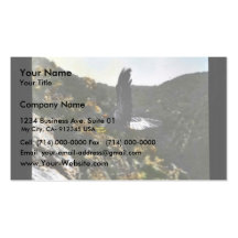 California condor in flight business card