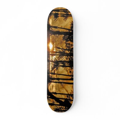 California Desert Dawn Skate Boards by fijinart