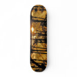 California Desert Dawn skateboards