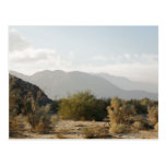 California Desert Postcards