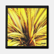 California Flora Magnet